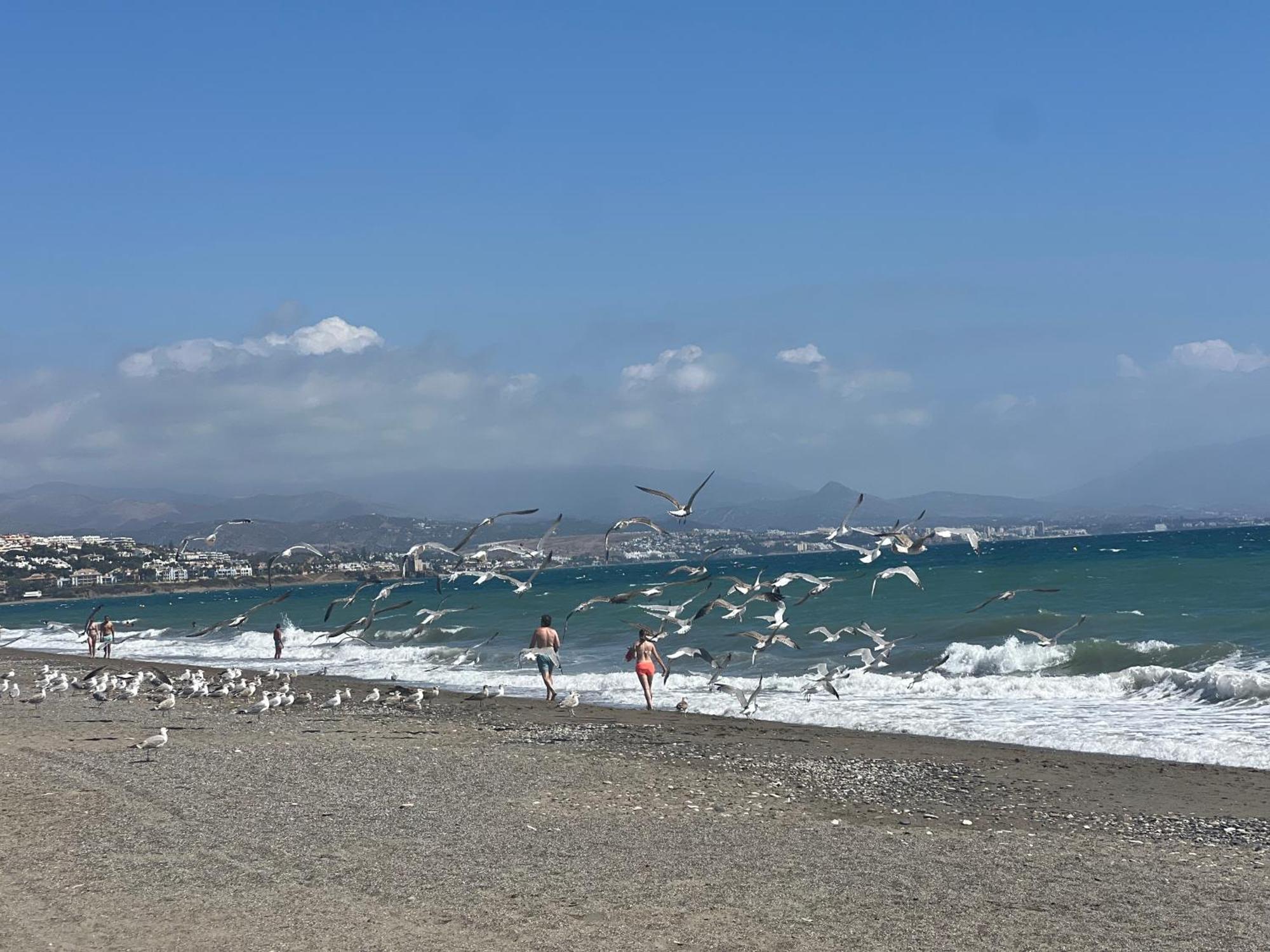 Puerto De La Duquesa Apartment มานิลบา ภายนอก รูปภาพ